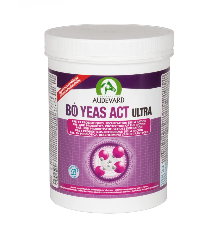 Audevard Bo Yeas Act Ultra