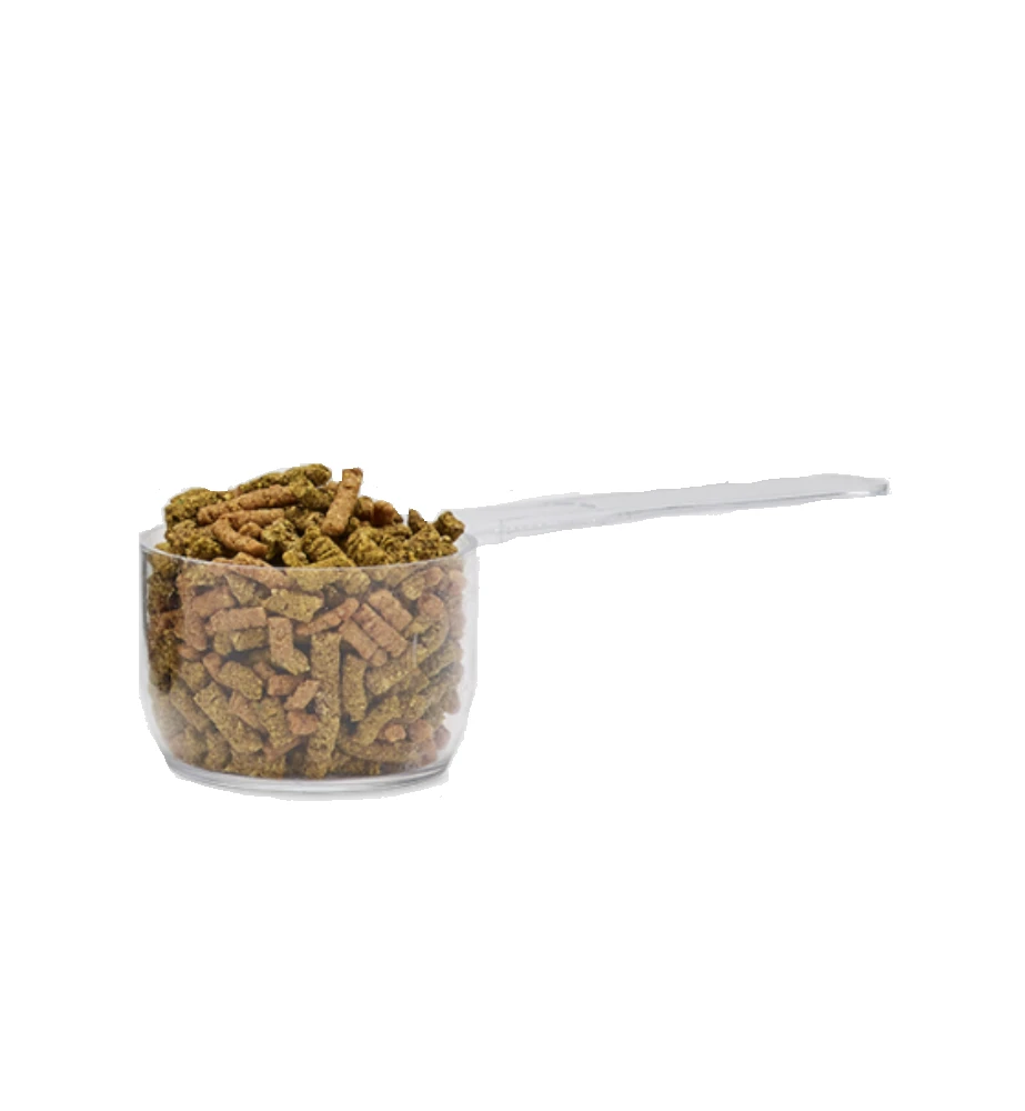 Audevard Bonutron Yearling 6-36M - Image 2