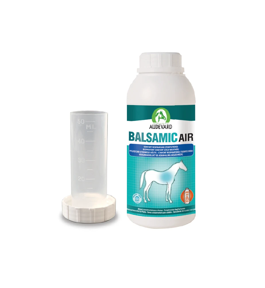 Audevard Balsamic Air - 500 Ml