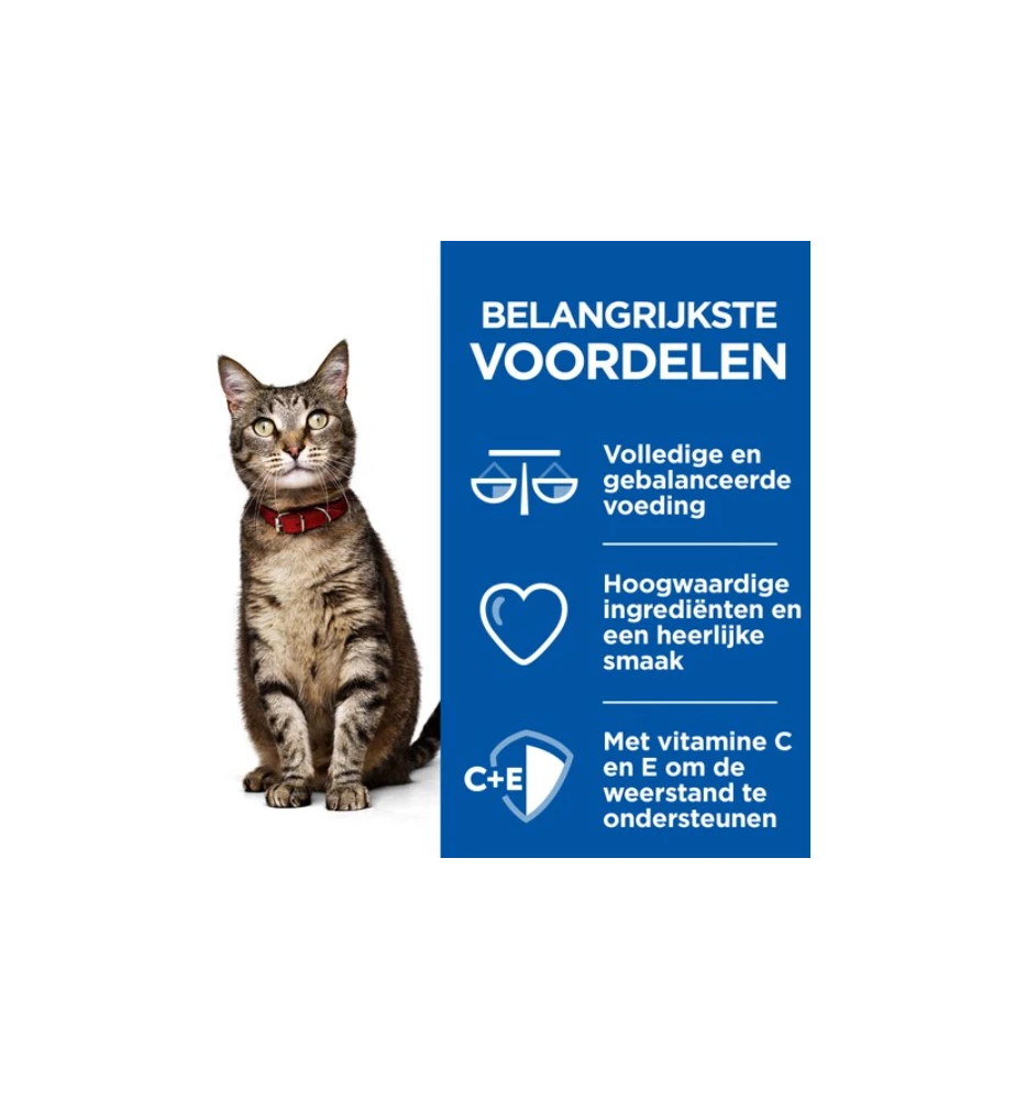 Hill's Science Plan Healthy Cuisine Volwassen Kat Stoofpotje Kip & Zalm - 4 X 12 X 80 Gram - Image 2