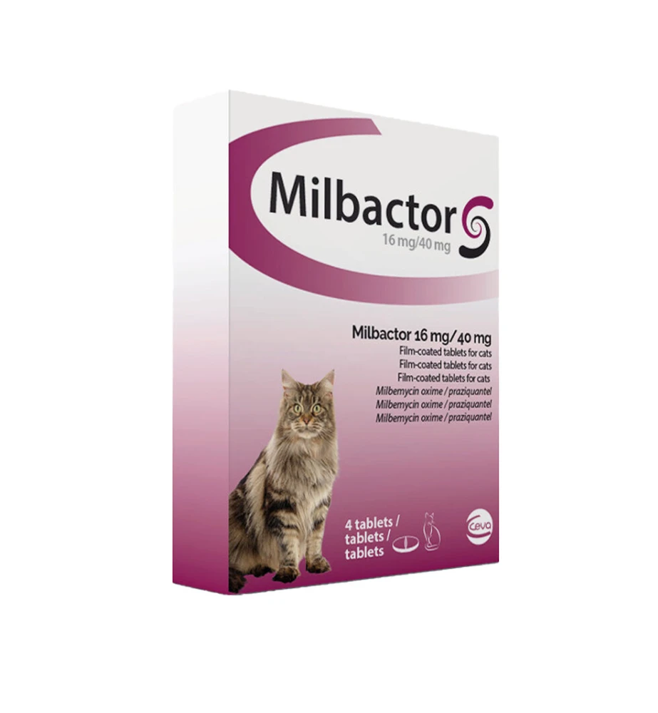 Milbactor Grote Kat (+2 Kg)
