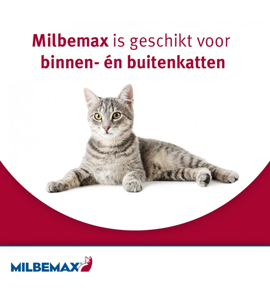 Milbemax Grote Kat - Image 6