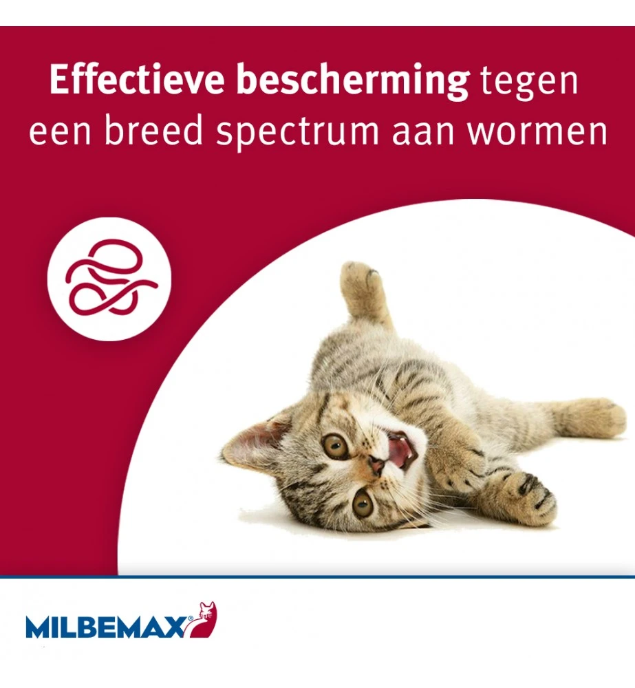 Milbemax Kleine Kat / Kitten - Image 3