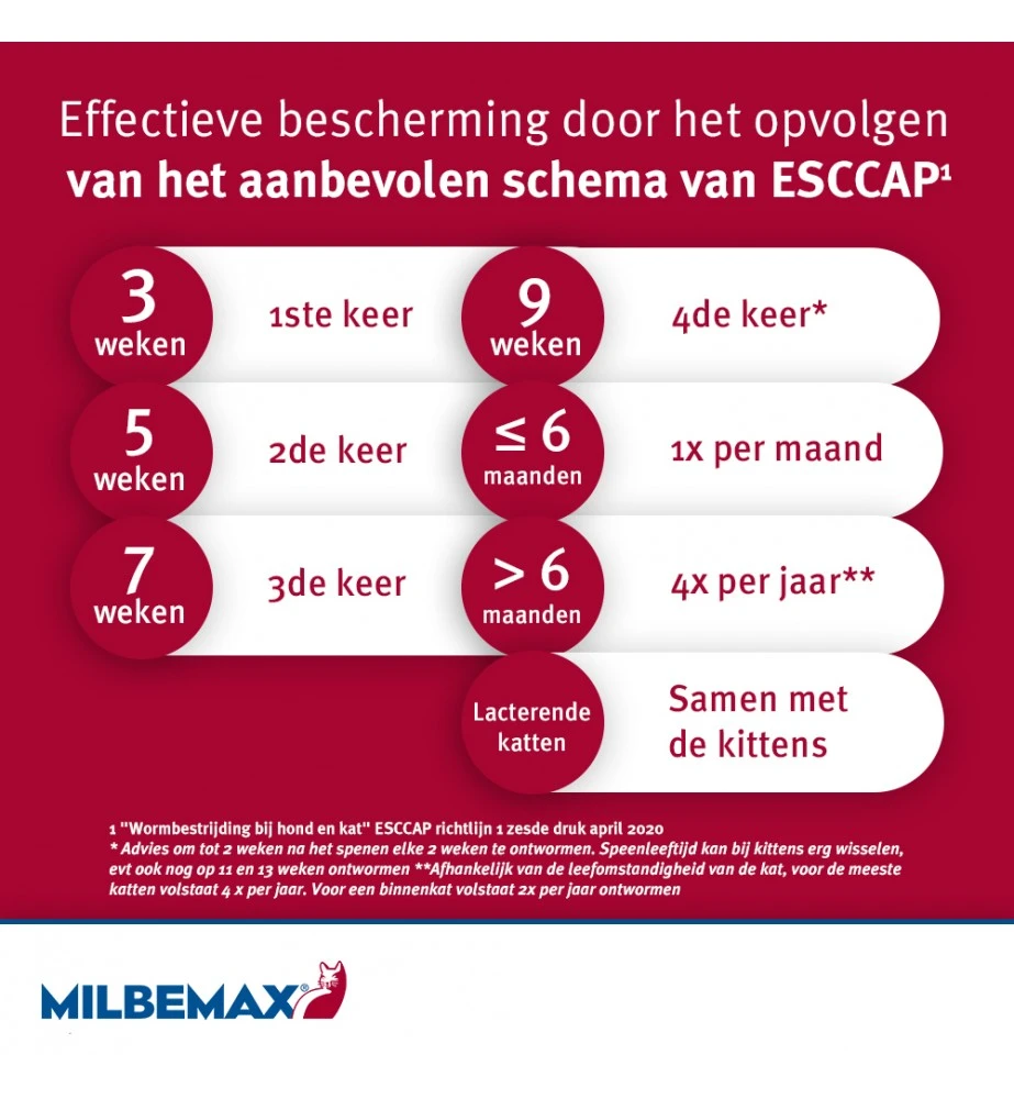 Milbemax Kleine Kat / Kitten - Image 4