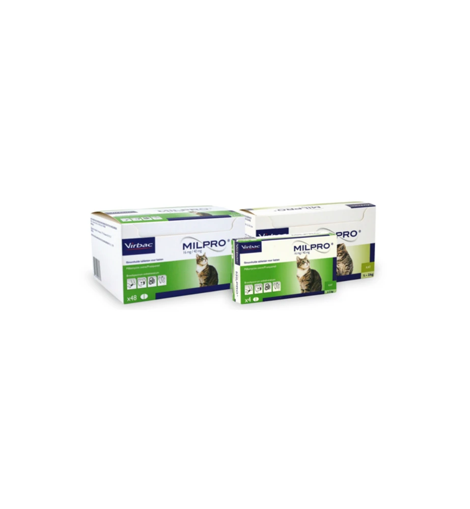 Milpro Grote Kat (+ 2 Kg) - Image 2