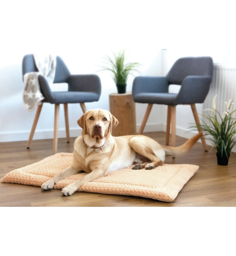 Petlando Deken Daisy Beige - Image 2