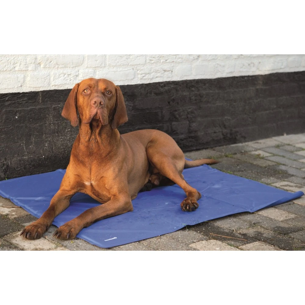 Beeztees Quick Cooler Koelmat IZI Blauw - Image 3