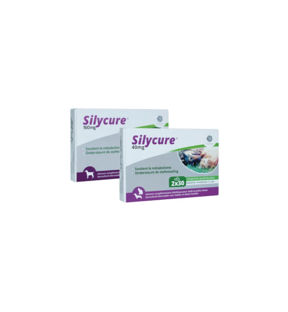 Silycure 160 Mg - 30 Tabletten - Image 3