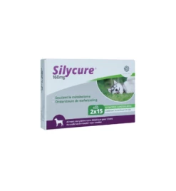 Silycure 160 Mg - 30 Tabletten