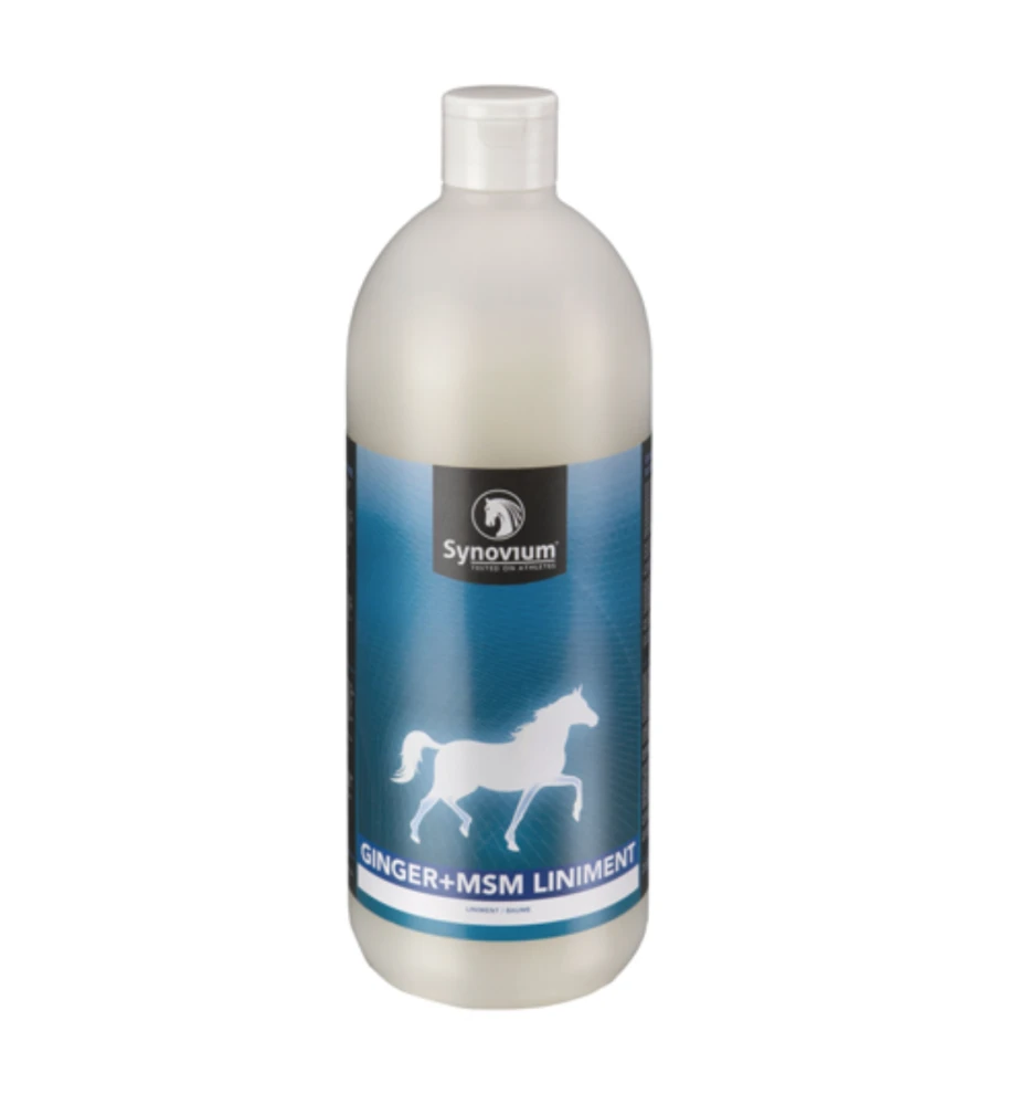 Synovium Ginger + MSM Liniment